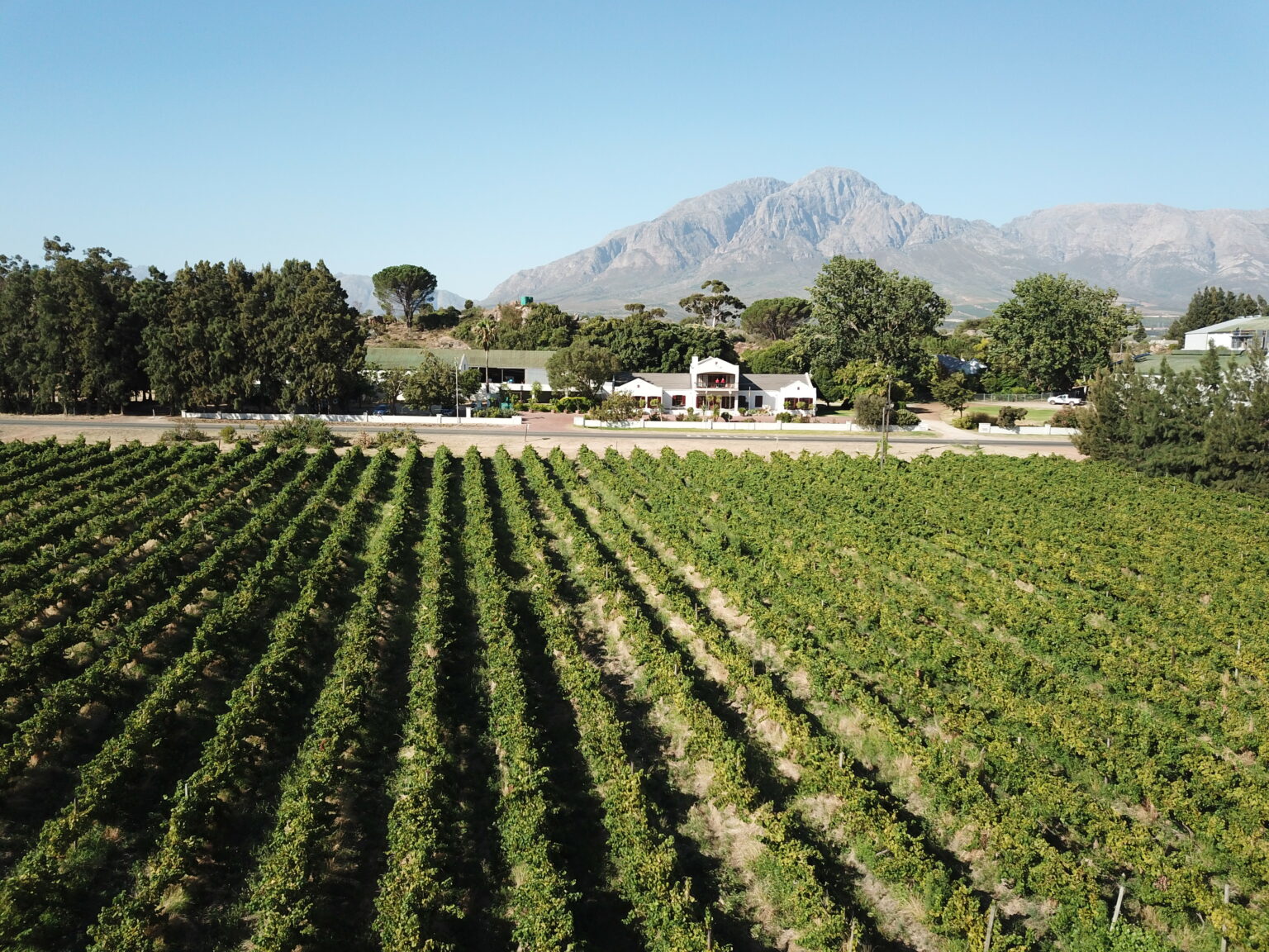 Bergsig Our Wine Ranges - Bergsig Wine Estate