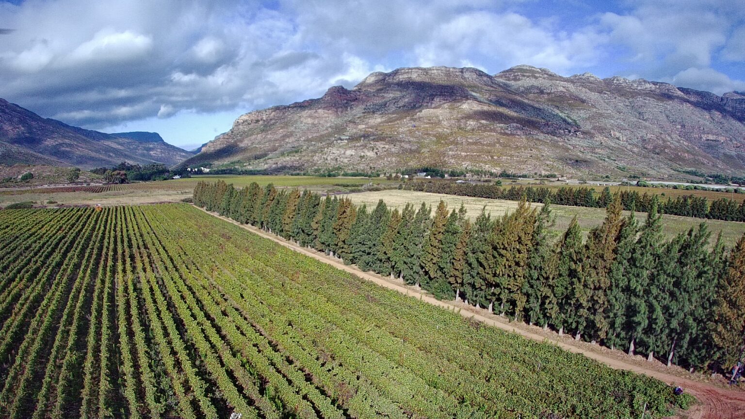 Bergsig Home - Bergsig Wine Estate